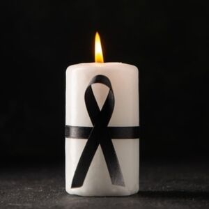 Meet your Posher, Francesca & Dani🐶